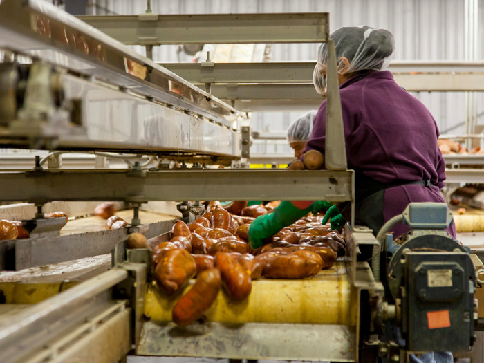 Machines alimentaires